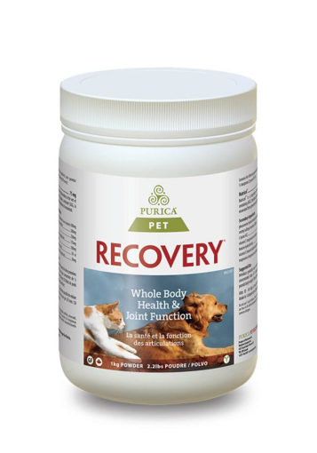 Picture of RECOVERY SA POWDER 1KG                         