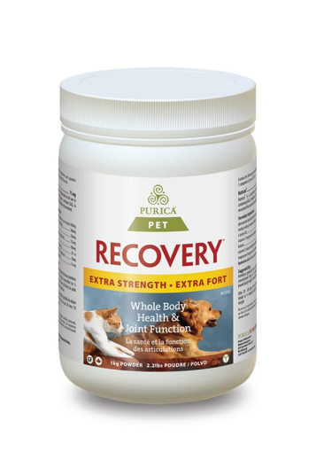 Picture of RECOVERY SA EXTRA STRENGTH - HA 1KG                         