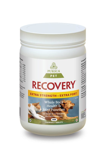 Picture of RECOVERY SA EXTRA STRENGTH CHEWABLE TABLETS 360S                        