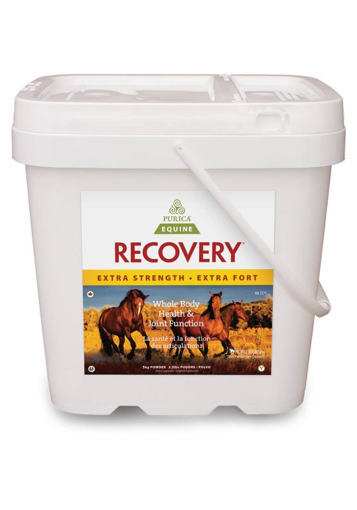 Picture of PURICA EQUINE RECOVERY - EXTRA STRENGTH 5KG