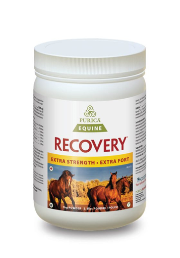 Picture of PURICA EQUINE RECOVERY EXTRA STRENGTH POWDER1KG