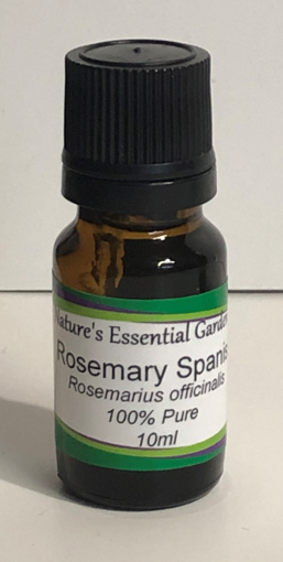 Picture of NATURES ESSENTIAL GARDEN ESSENTIAL OIL - ROSEMARY  10ML                    