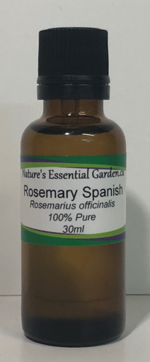 Picture of NATURES ESSENTIAL GARDEN ESSENTIAL OIL - ROSEMARY  30ML                    