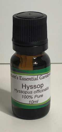 Picture of NATURES ESSENTIAL GARDEN ESSENTIAL OIL - HYSSOP 10ML                         