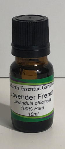 Picture of NATURES ESSENTIAL GARDEN ESSENTIAL OIL FRENCH LAVENDER 10ML                