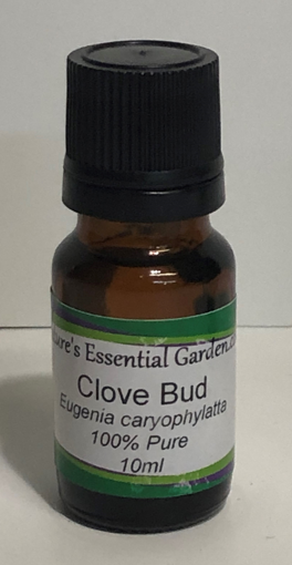 Picture of NATURES ESSENTIAL GARDEN ESSENTIAL OIL - CLOVE BUD  10ML                   