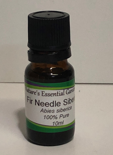 Picture of NATURES ESSENTIAL GARDEN ESSENTIAL OIL - FIR NEEDLE SIBERIAN 10ML                         