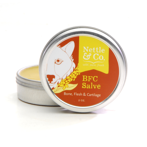 Picture of NETTLE and CO BONE, FLESH and CARTILAGE - SALVE 2OZ