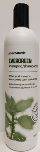 Picture of PRAIRIE NATURALS EVERGREEN ACTIVE SPORT SHAMPOO 500ML                   