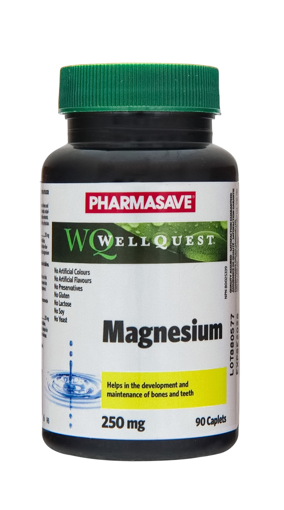 Picture of PHARMASAVE WELLQUEST MAGNESIUM CAPLET 250MG 90S                            