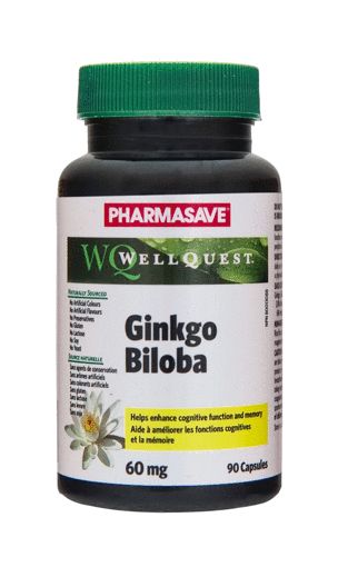 Picture of PHARMASAVE WELLQUEST GINKGO BILOBA CAPSULE 60MG 90S                        