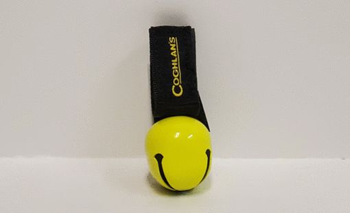 Picture of COGHLANS BEAR BELL                                                         