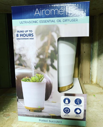 Picture of AIROME ULTRASONIC ESSENTIAL OIL DIFFUSER - POTTED SUCCULENT