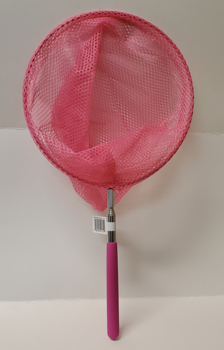Picture of TELESCOPIC BUTTERFLY NET                          