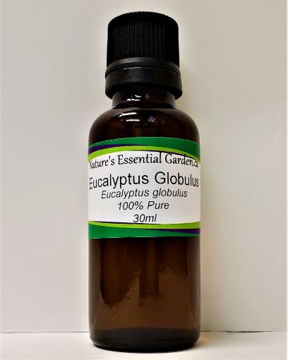 Picture of NATURES ESSENTIAL GARDEN ESSENTIAL OIL - EUCALYPTUS GLOBULUS 30ML