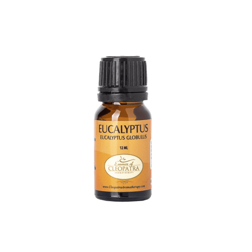 Picture of CLEOPATRA ESSENTIAL OIL - EUCALYPTUS 12ML                            