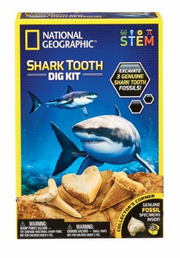 Picture of BLUE MARBLE NATIONAL GEOGRAPHIC SHARK TEETH DIG KIT