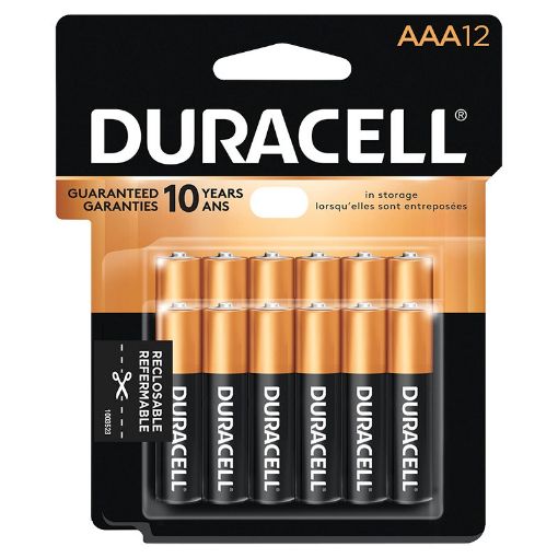 Picture of DURACELL COPPERTOP BATTERIES AAA 12S