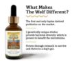 Picture of ROOTS PROBIOTICS - THE WOLF 60ML