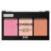 Picture of COVERGIRL TRUBLEND SERVING SCULPT PALETTE - ROSE NIGHTS                    