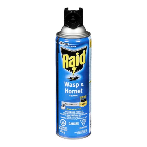 Picture of RAID WASP and HORNET KILLER SPRAY 400GR