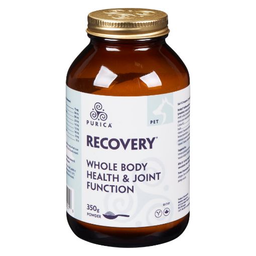 Picture of PURICA PET RECOVERY WHOLE BODY HEALTH AND JOINT FUNCTION POWDER 350GR