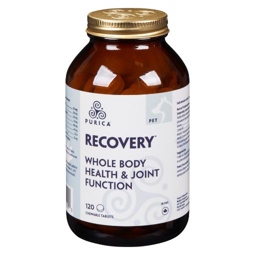 Picture of RECOVERY SA CHEWABLE TABLETS 120S                         
