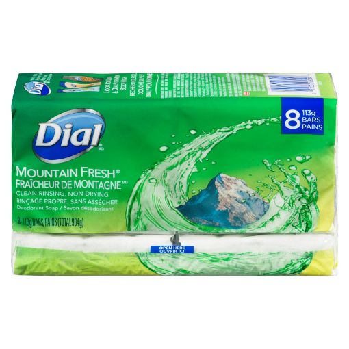 Picture of DIAL BAR SOAP - MOUNTAIN FRESH 8X113GR                                     