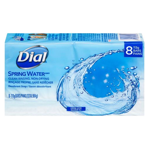 Picture of DIAL BAR SOAP - SPRING WATER 8X113GR                                       