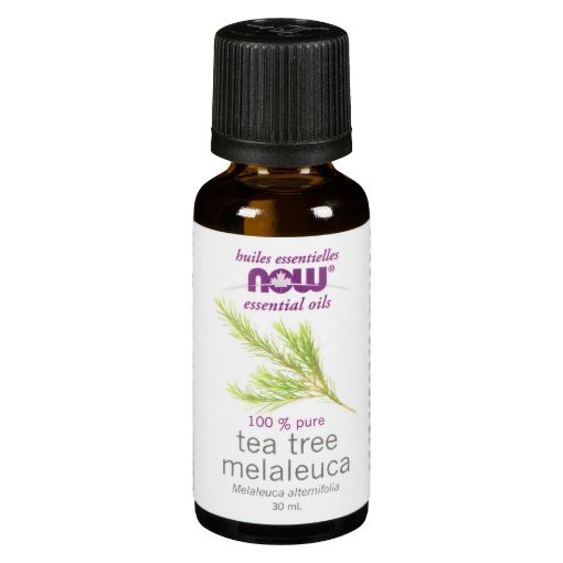Picture of NOW ESSENTIAL OIL - TEA TREE -  100% PURE 30ML                                