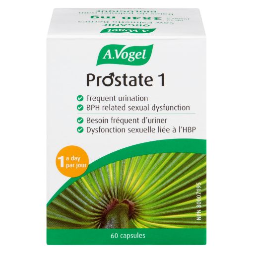Picture of A. VOGEL - PROSTATE 1 60S                       