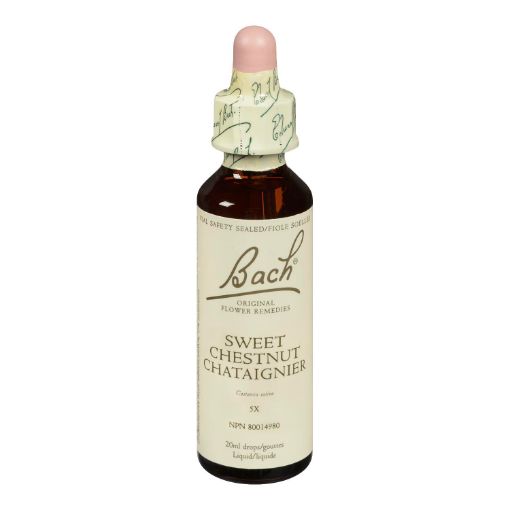 Picture of BACH SWEET CHESTNUT 20ML                         