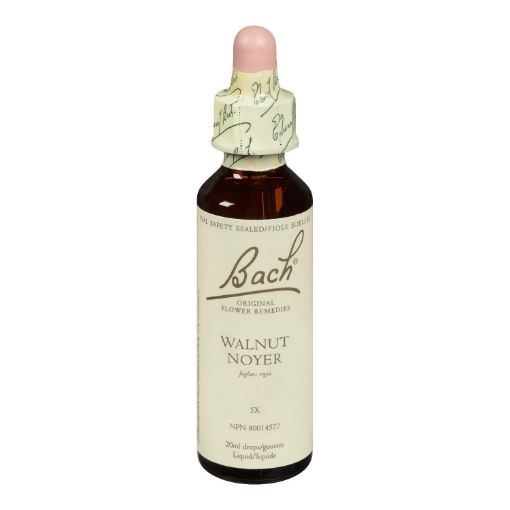 Picture of BACH WALNUT 20ML                              