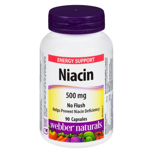 Picture of WEBBER NATURALS NO FLUSH NIACIN CAPSULE 500MG 90S                          
