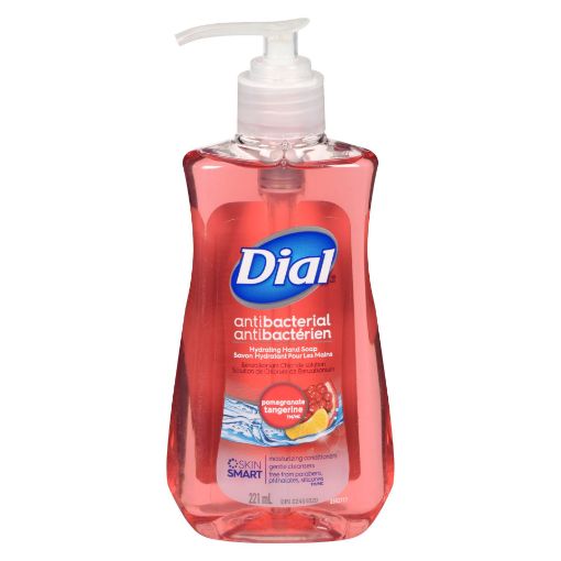 Picture of DIAL LIQUID HAND SOAP - POMEGRANATE and TANGERINE 221ML