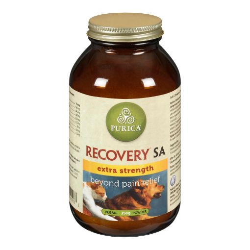 Picture of RECOVERY SA EXTRA STRENGTH - HA 350GR                         