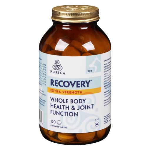 Picture of RECOVERY SA EXTRA STRENGTH CHEWABLE TABLETS 120S                         