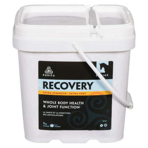 Picture of PURICA EQUINE RECOVERY - EXTRA STRENGTH 5KG