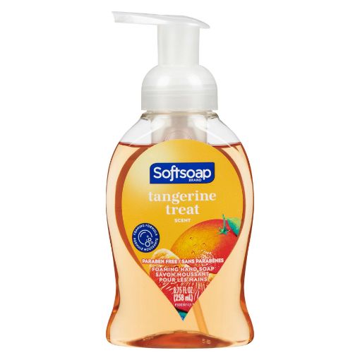 Picture of SOFTSOAP - TANGERINE TREAT FOAM 258ML                                      