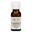 Picture of AURA CACIA ESSENTIAL OIL - SPEARMINT 15ML     