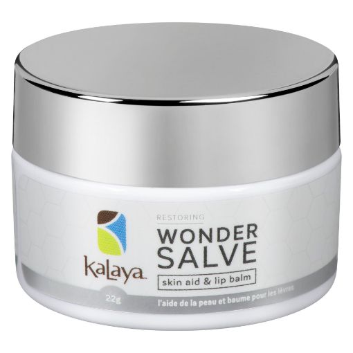 Picture of KALAYA NATURALS WONDER SALVE 22GR                                          