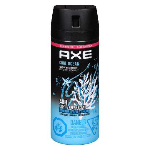 Picture of AXE BODY SPRAY - COOL OCEAN 113GR