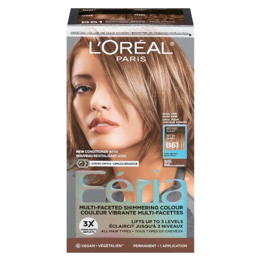 Picture of LOREAL FERIA HI-LIFT HAIR COLOUR - COOL BROWN #B61                         