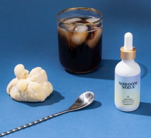 Picture of SHROOM SODA LIQUID DRINK ENHANCER - ROOT BEER 2OZ