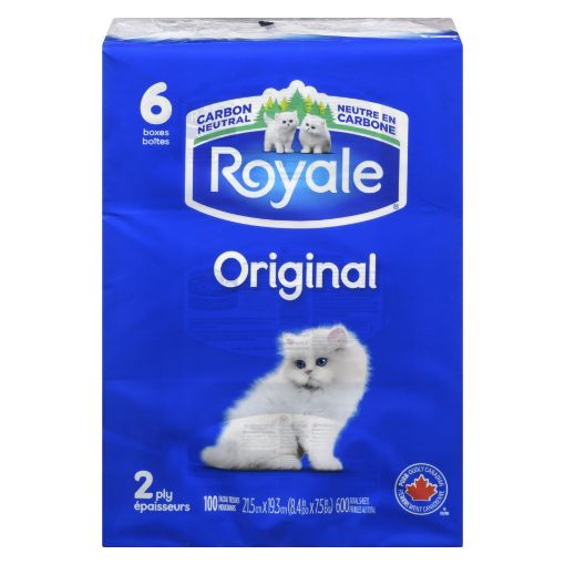 Picture of ROYALE 2PLY FACIAL TISSUE 6X100S