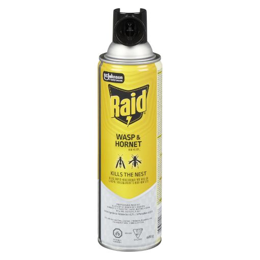 Picture of RAID WASP and HORNET KILLER SPRAY 400GR