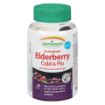 Picture of JAMIESON COLD and FLU GUMMY - BLACK ELDERBERRY W/ECHINACEA and GINGER 60S