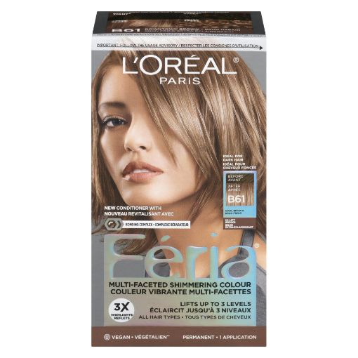 Picture of LOREAL FERIA HI-LIFT HAIR COLOUR - COOL BROWN #B61                         